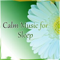 Pregnancy and Birth - Calming Sounds Sanctuary