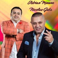 Am multi bani - Nicolae Guta