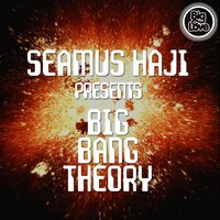 Haven't Been Funked Enough - Seamus Haji