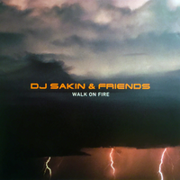 Wait For You - DJ Sakin & DJ Sakin & Friends