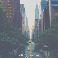 Vibe for All Night Study Sessions - lofi for sleeping