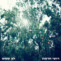 הימים שעברו - Roei Hermon