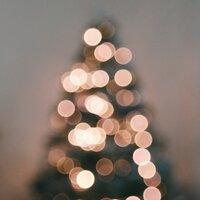 We Wish You a Merry Christmas - Christmas Tree & Christmas Party Ideas & Classical Christmas Music and Holiday Songs