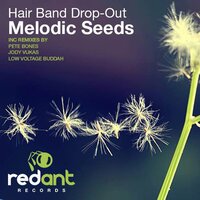 Melodic Seeds - Hair Band Drop-Out & Zero The Hero