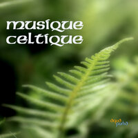 The Halting March - Musique irlandaise celtique - Musique Celtique Ensemble