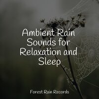 Ocean, Heavy, Shore, Waves - Study Music & Sounds & Smart Baby Lullaby & Sonidos de la Naturaleza Relax
