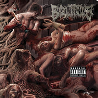 Vrouwenhaat - Brutus