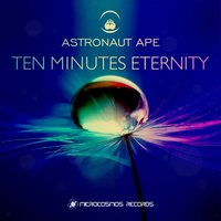 Neverending Summer - Astronaut Ape