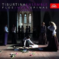 Prudens et vigilans virgo (Antiphona) - Tiburtina Ensemble