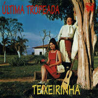 Companheiros - Teixeirinha