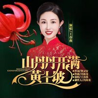 山丹丹开满黄土坡 - 王春燕 & DJ默涵