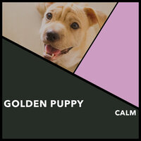 Clear Pet Love - Puppy Music & Puppy Music Therapy