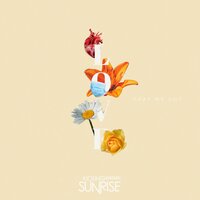 Love That We Got - Kicking Sunrise