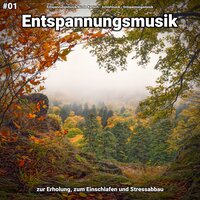 Entspannungsmusik pt. 13 - Entspannungsmusik Nicole Kensch & Schlafmusik & Entspannungsmusik