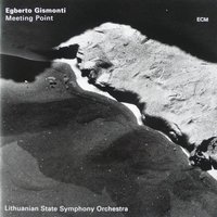 Música De Sobrevivência - Egberto Gismonti