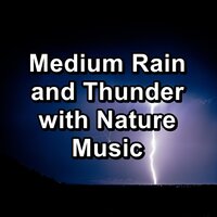 Heavy Rain and Thunder For Relaxing Times To Help You Take A Nap - Rain Sounds Sleep & Relaxing Rain & Rain Radiance