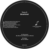 Bicameral - Tony S