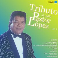 Las Miradas de Magaly - Pastor López y su combo