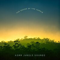 Never Ending River - ASMR Jungle Sounds