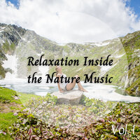 Gentle River Sounds - Nature Sounds Nature Music & The Nature Soundscapes & Relaxing Music for Stress Relief