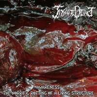Agent of Disbalance - Insane Dead
