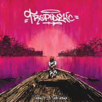 Lorain Lorain - Tropidelic