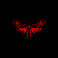 Trigger Finger - Lil Wayne & Soulja Boy