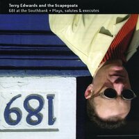 Vaguely Fit - Terry Edwards and The Scapegoats