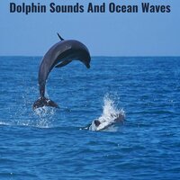 Ocean Depth Serenity - symphony orchestra sound sun beach sand summer