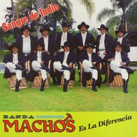 Volveré - Banda Machos