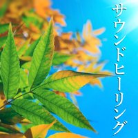 ハーモニー - リラックスした音楽のアカデミー