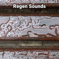 Regen Sounds, pt. 72 - Regen zur Entspannung Susanna Igel & Naturgeräusche & Regengeräusche