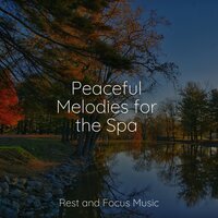 Peaceful Zen Garden - White Noise Sound Garden & Sleepy Night Music & Música de la Naturaleza