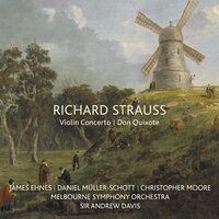 Don Quixote, Op. 35, TrV 184: 8. Variation V: The Knight’s Vigil - Daniel Muller-Schott & Sir Andrew Davis & Melbourne Symphony Orchestra & Рихард Штраус