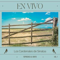 Chema Arroyo - En Vivo - Los Cardenales De Sinaloa