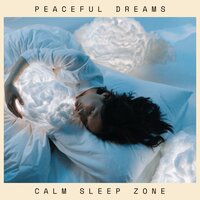 Peaceful Night - Calm Sleep Zone
