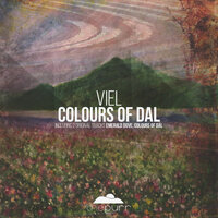 Colours of Dal - VieL