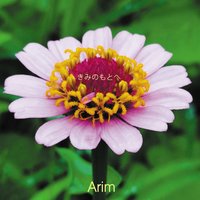 A walk of ducks - Arim