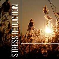 Yoga Garden - Piano Stress Relief Academy