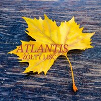 Zółty liść - Atlantis