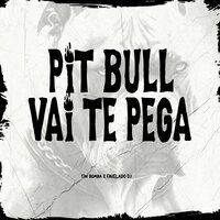 Pit Bull Vai Te Pega - MC Careconi & Favelado Dj & tiw bomba & Mc Fvg