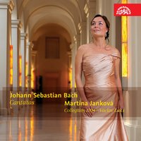 Ich habe genug in C Minor, BWV 82: II. Recitativo. Ich habe genug! Mein Trost ist nur allein - Collegium 1704 & Vaclav Luks & Martina Janková & Martina Janková, Collegium 1704, Václav Luks & Johann Sebastian Bach