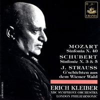 Symphony No. 40 in G Minor, K. 550: II. Andante - Erich Kleiber & Вольфганг Амадей Моцарт