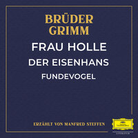 Der Eisenhans - Teil 16 - Brüder Grimm & Manfred Steffen