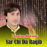 Chi Ta Pama Nazar We - Zeeshan Marwat