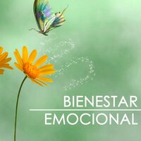 Terapia del Sueño - Bienestar Maestro