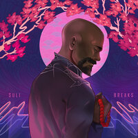 Maybe the Last Time - Suli Breaks