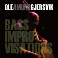 Bass Improvisation No. 8 - Ole Amund Gjersvik