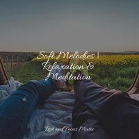 Lucid Dreams - Sleepy Night Music & Binaural Beats & Sleep Meditation Dream Catcher