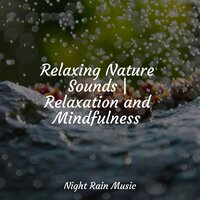 Birds by a Creek - Mother Nature Sound FX & Nature Sounds Artists & Sound Healing Center